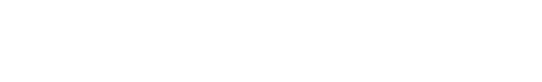bloom business jets logo
